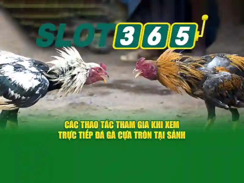 Đặt niềm tin và an toàn người chơi\n<h3>Tính năng nổi bật</h3>\n<p><span style=