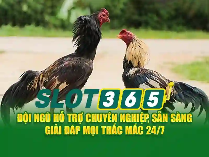 Hướng dẫn Slot365 – Khám phá hành trình trò chơi slot
