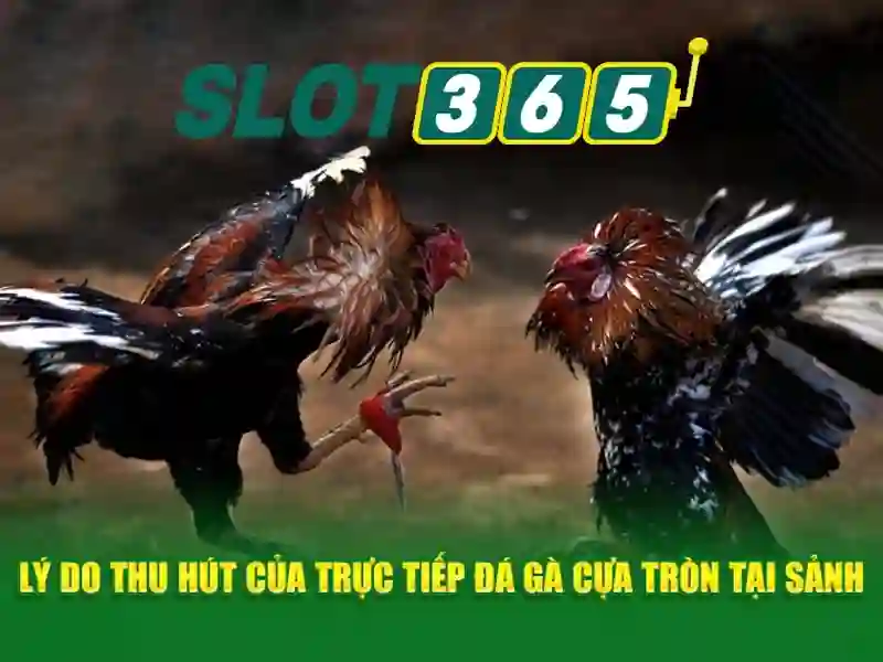 Khuyến mãi và cách nhận chúng