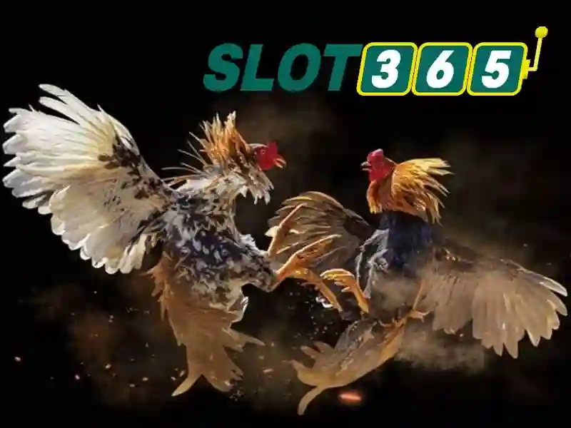 Sản phẩm và dịch vụ cốt lõi của rtp slot365