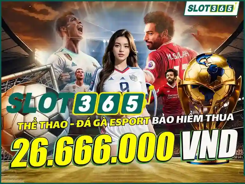 Trận đấu gà kịch tính với hình ảnh sắc nét tại Slot365