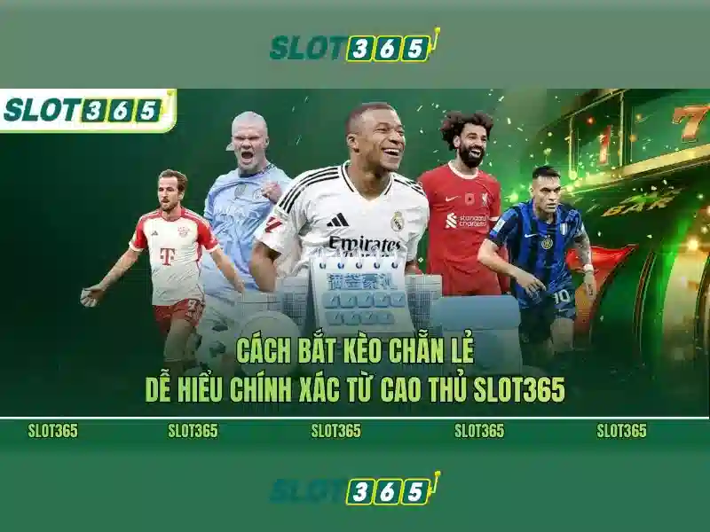 Sản phẩm và dịch vụ cốt lõi: Ứng dụng thực tế của hỗ trợ Slot365