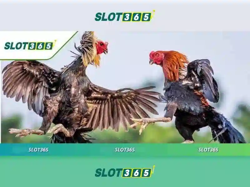 Slot365: Trải nghiệm chơi slot trực tuyến tối ưu Giao diện nhà cái hoàn hảo