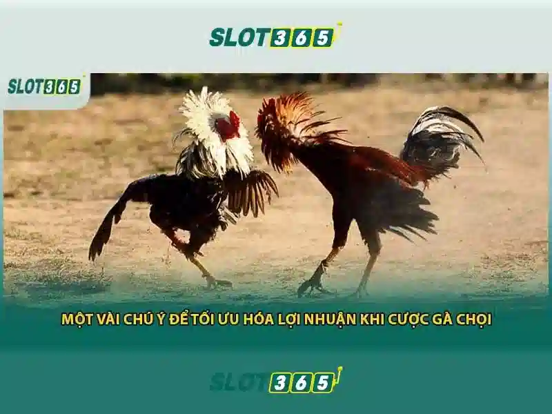 game slot365 – Chủ đề tổng quan và giá trị cốt lõi