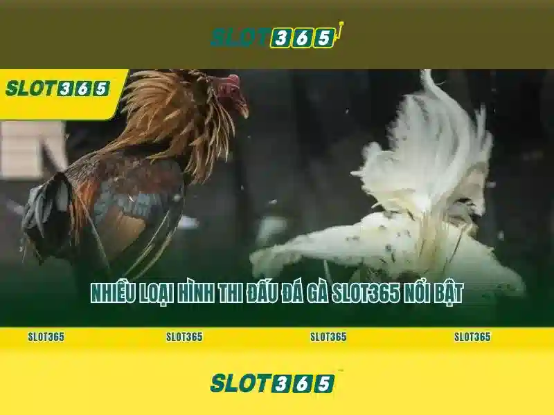 Nguon goc tu khoa va su menh cua Slot365