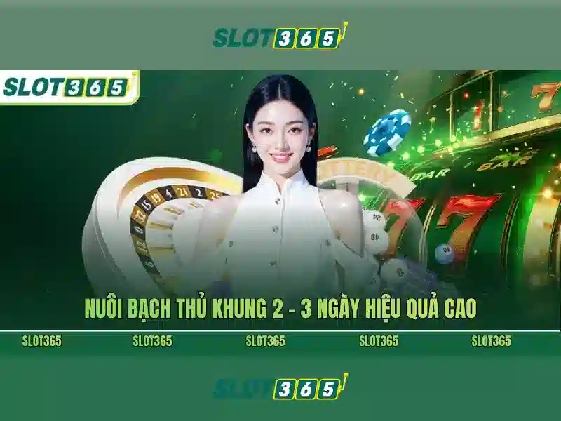 slot365 tải app – Tổng quan chủ đề và giá trị cốt lõi