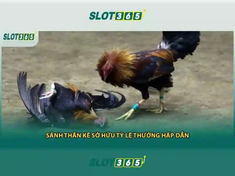 slot365 com – Tổng quan chủ đề và giá trị cốt lõi