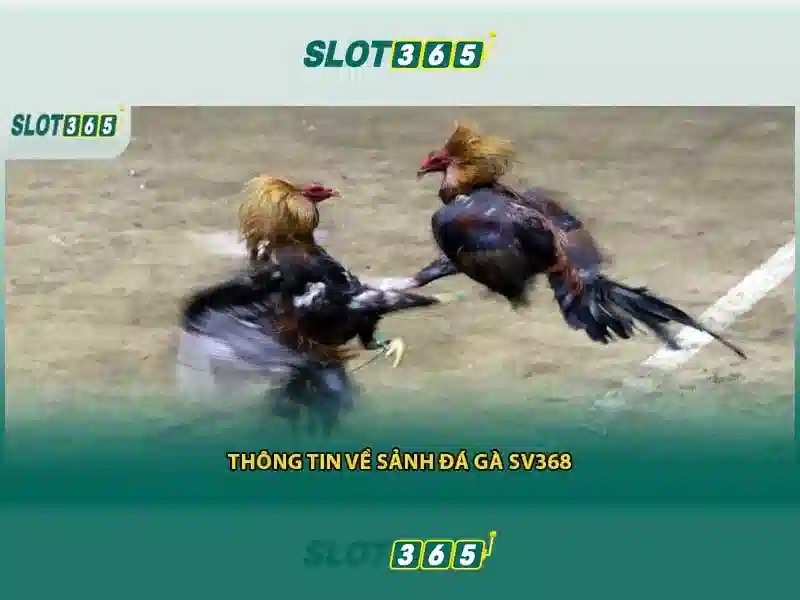 Slot365 là gì