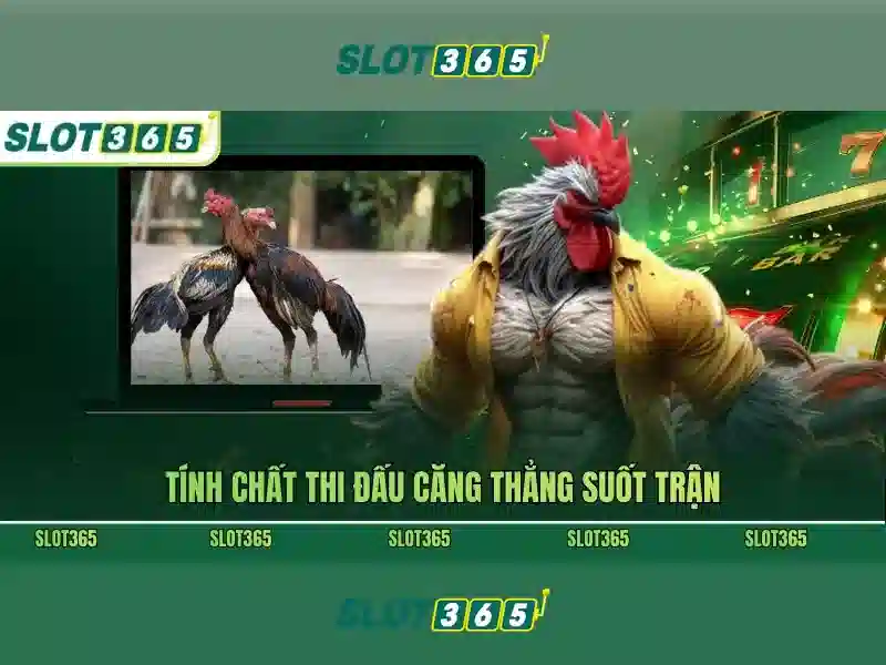 Giao diện nhà cái hoàn hảo