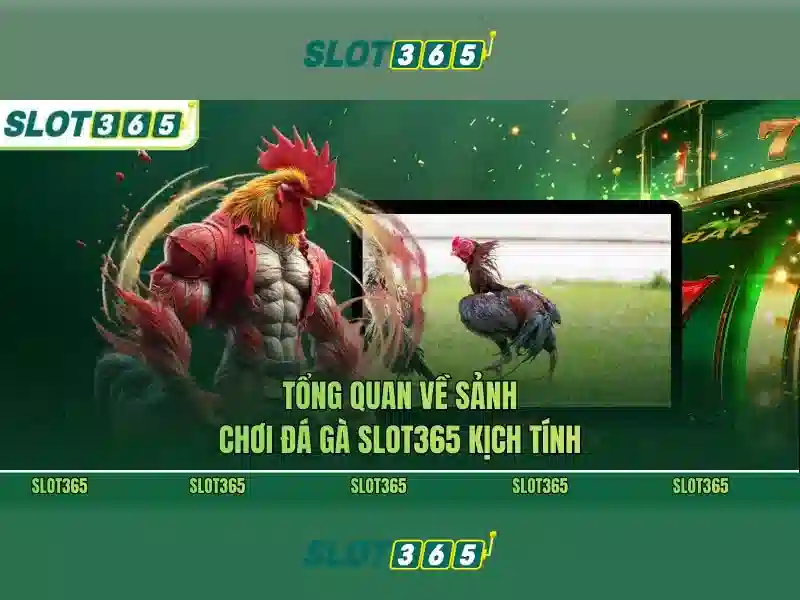 Giao diện nhà cái hoàn hảo