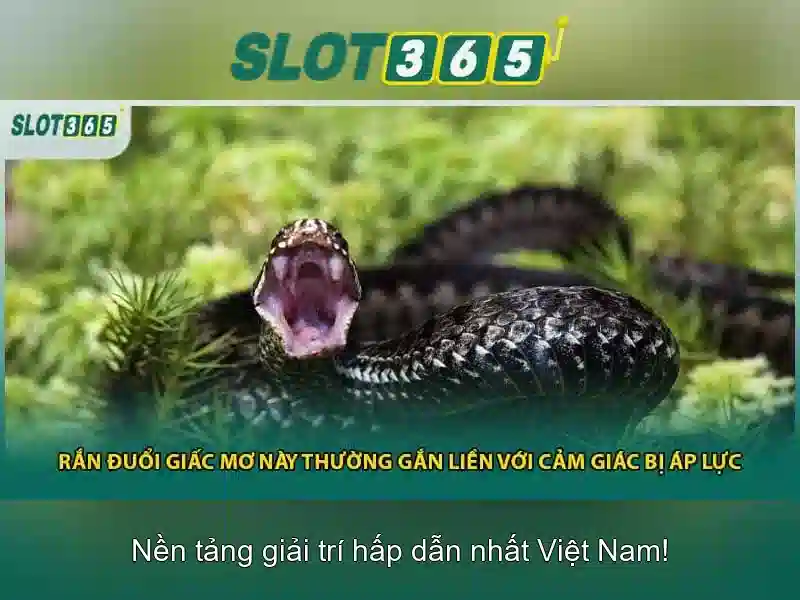 Hỗ trợ khách hàng và cộng đồng người chơi
