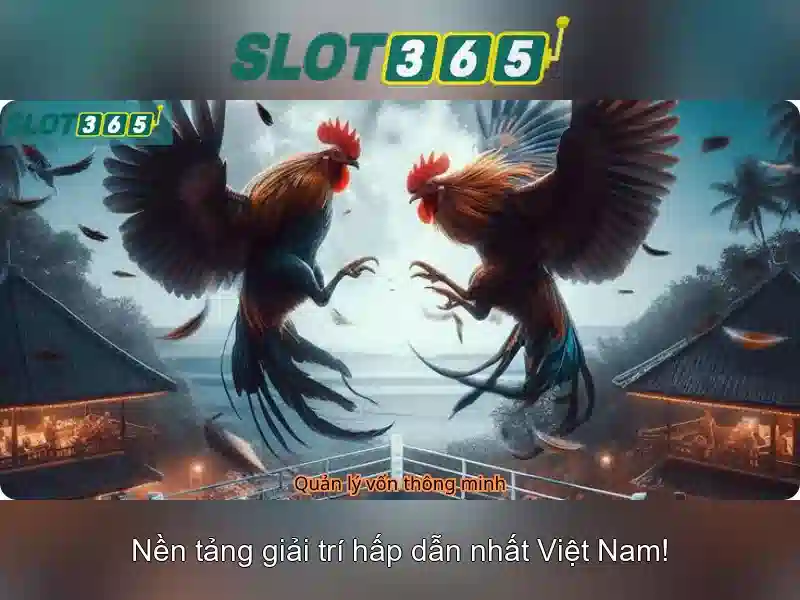 Hỗ trợ khách hàng