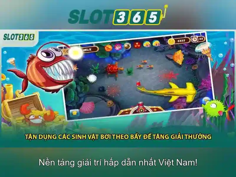Khuyến mãi và bảo mật