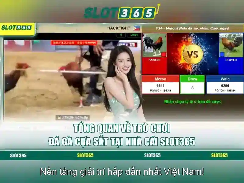 Kết luận