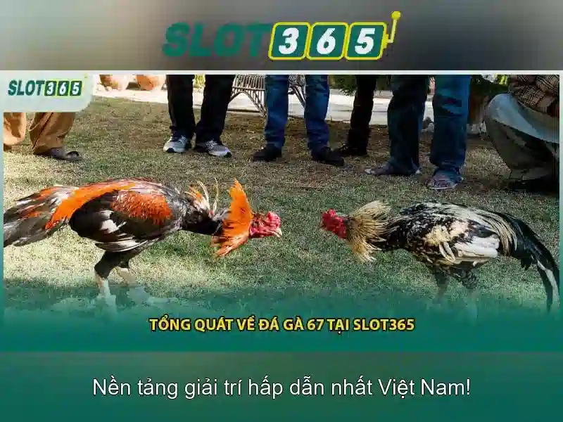 Slot365 là gì và vì sao nhiều người chọn nó