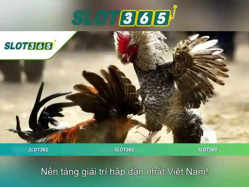 slot365 bet – Trải nghiệm cược trực tuyến và login Giao diện nhà cái hoàn hảo