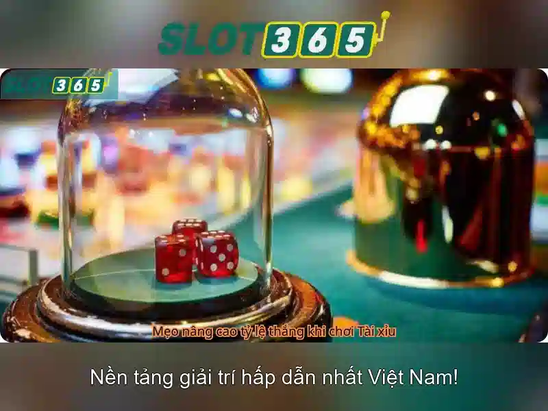 Khuyến mãi và hỗ trợ khách hàng