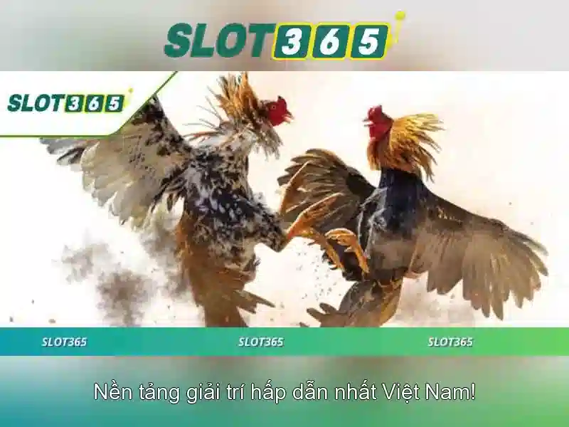 Giao diện nhà cái hoàn hảo