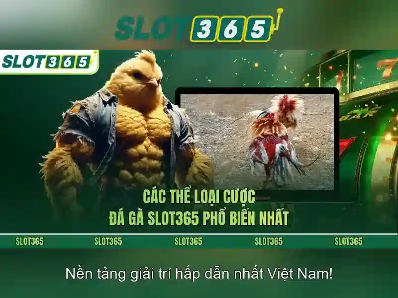 An toàn và thanh toán tiện lợi