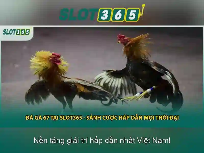 Slot365 - Trải nghiệm casino trực tuyến đỉnh cao tại Việt Nam Giao diện nhà cái hoàn hảo