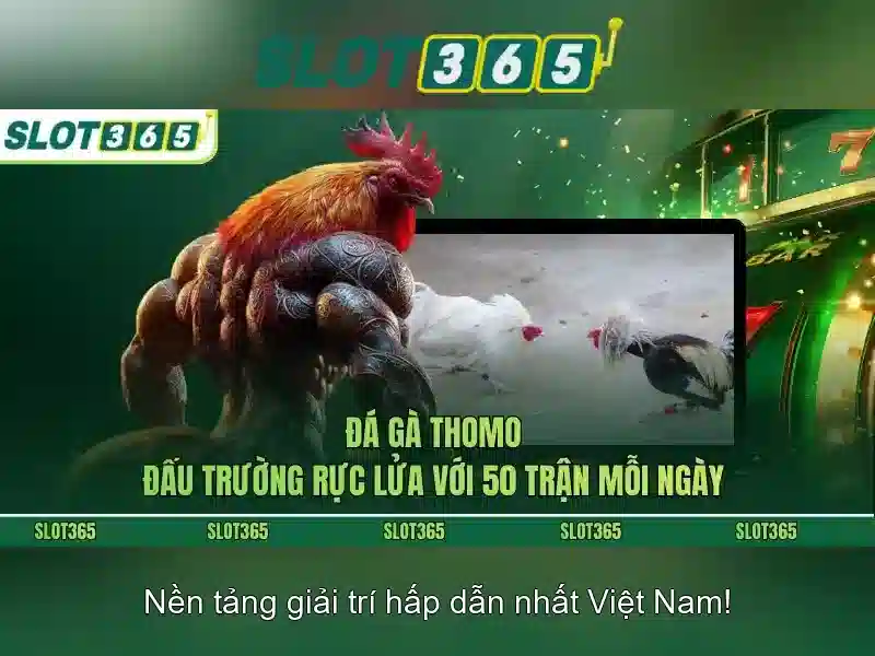 Giao diện nhà cái hoàn hảo