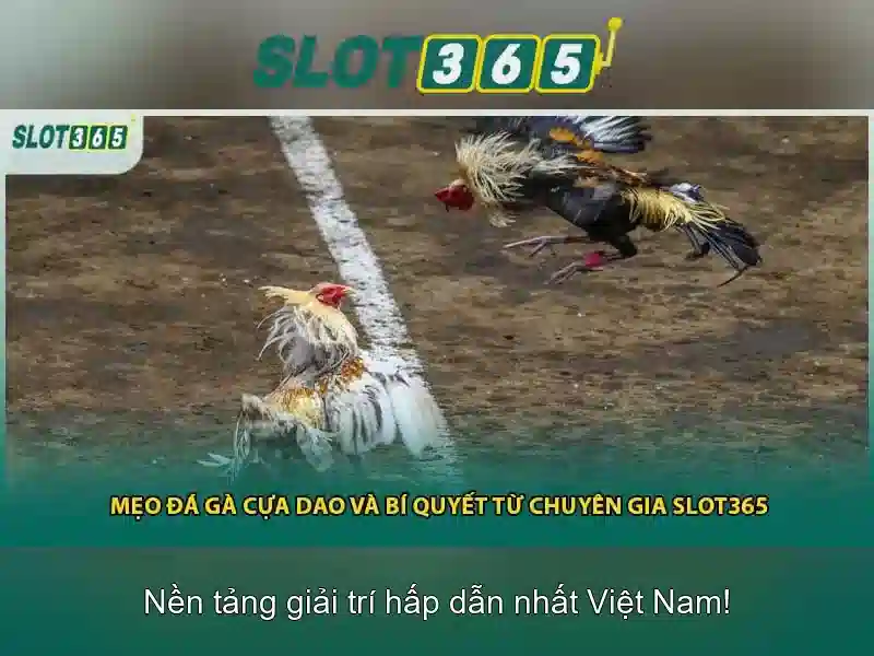 Danh mục trò chơi và chất lượng trò chơi