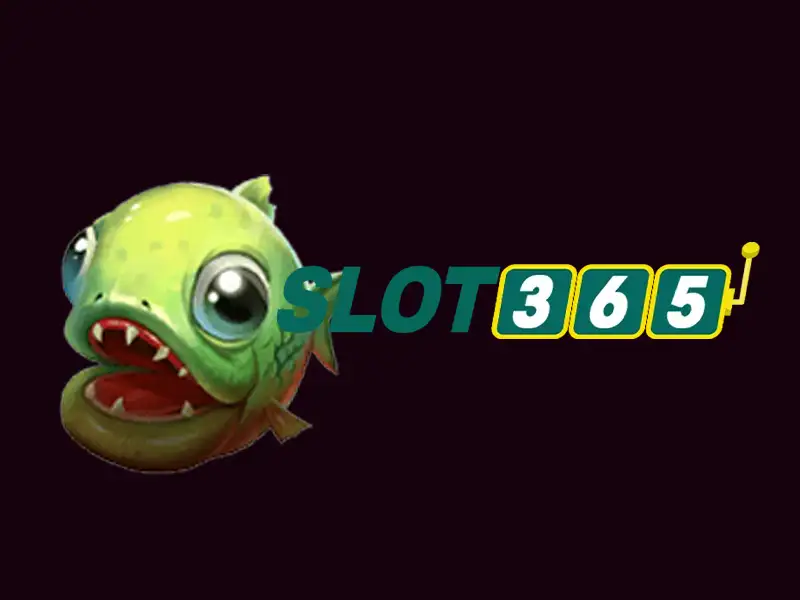 hỗ trợ Slot365 – Tổng kết và lời mời trải nghiệm