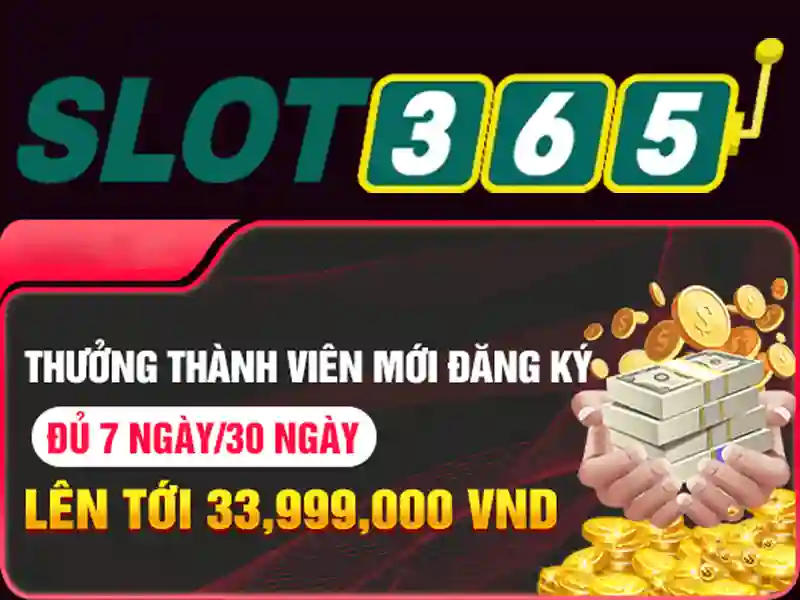 Giao diện và trải nghiệm người dùng