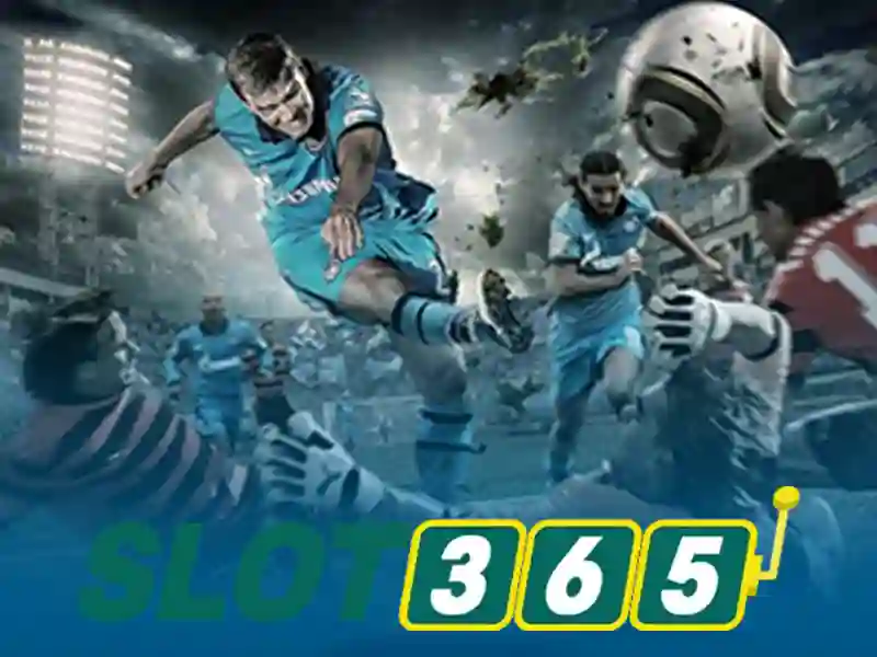 Trải nghiệm người dùng và phản hồi cộng đồng