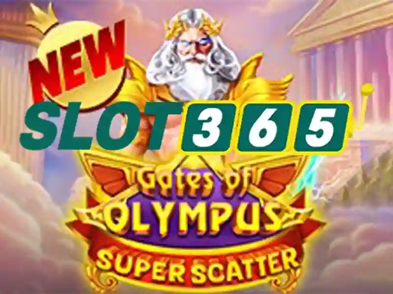 slot365 – Trải nghiệm người dùng và phản hồi cộng đồng