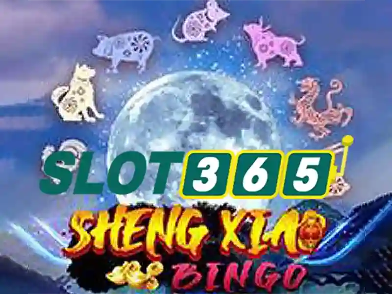 Slot365: Nền tảng chơi slot trực tuyến uy tín và giải trí